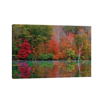 Autumn Scene by David Gardiner - Wrapped Canvas Gallery-Wrapped Canvas Giclée - Image 0