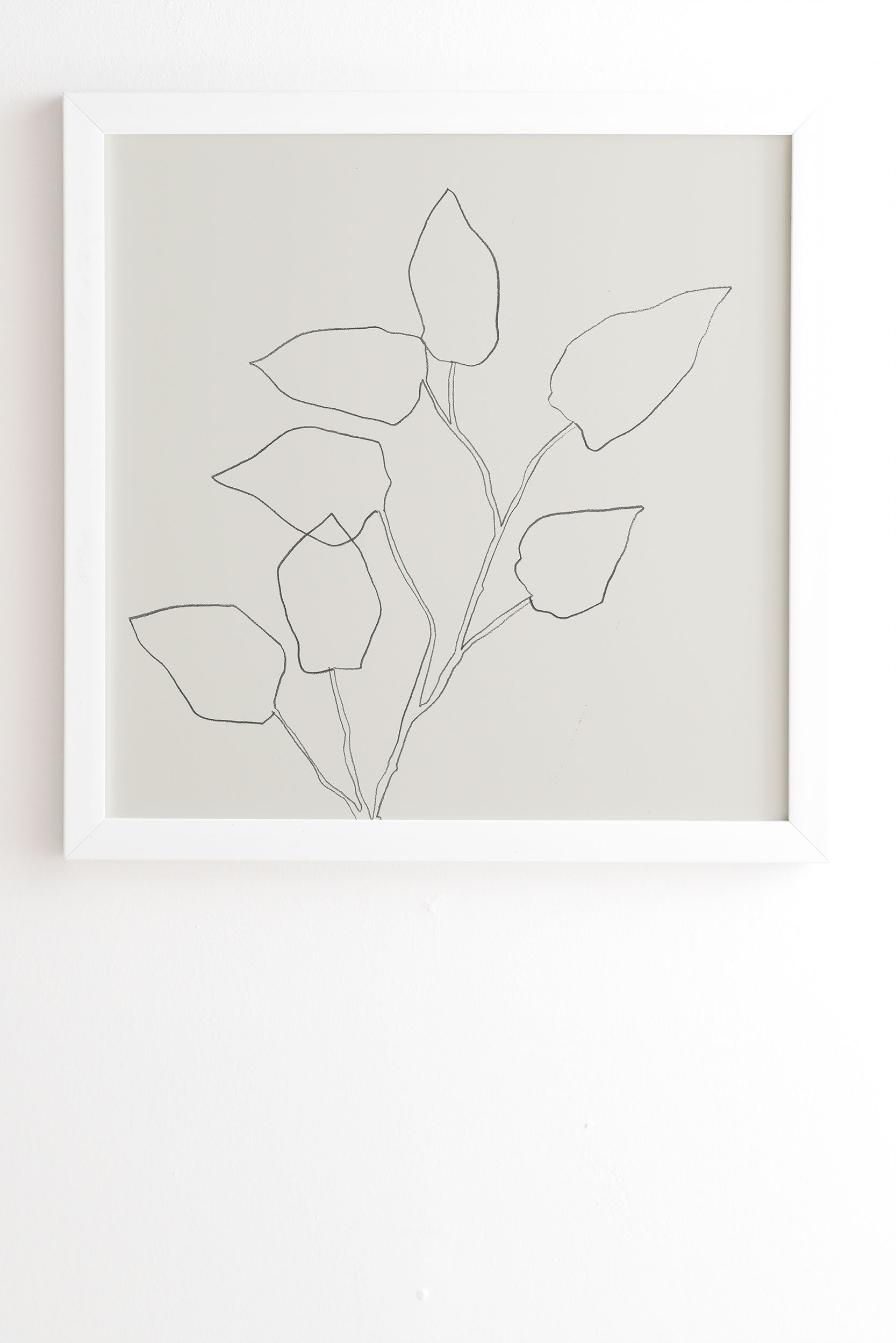 Floral Study No 5 by Megan Galante - Framed Wall Art Basic White 30" x 30" - Image 1