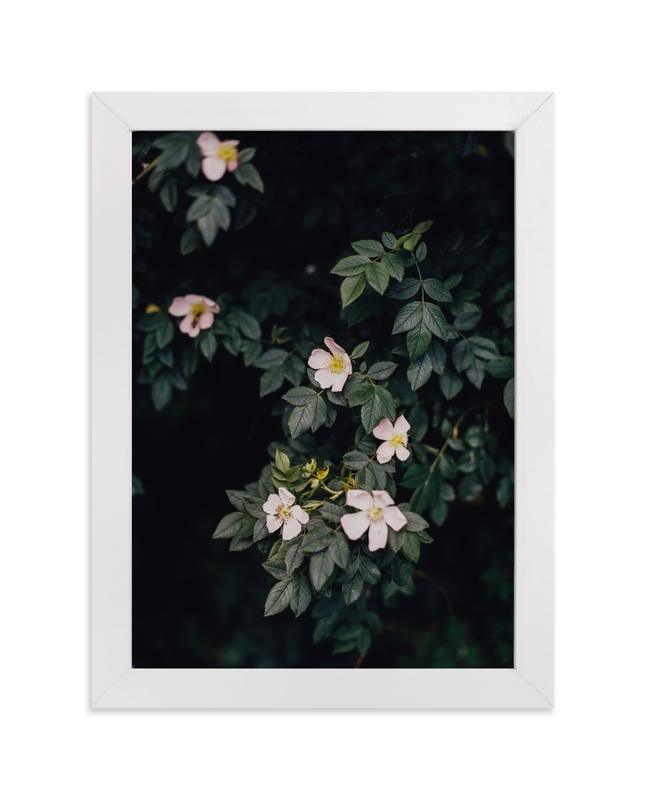 Moody White Roses Limited Edition Fine Art Print 1 - Image 0