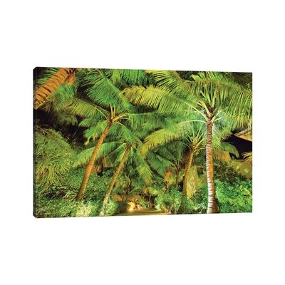 Palm Tree Path by Mark Paulda - Wrapped Canvas Photograph Print - Image 0