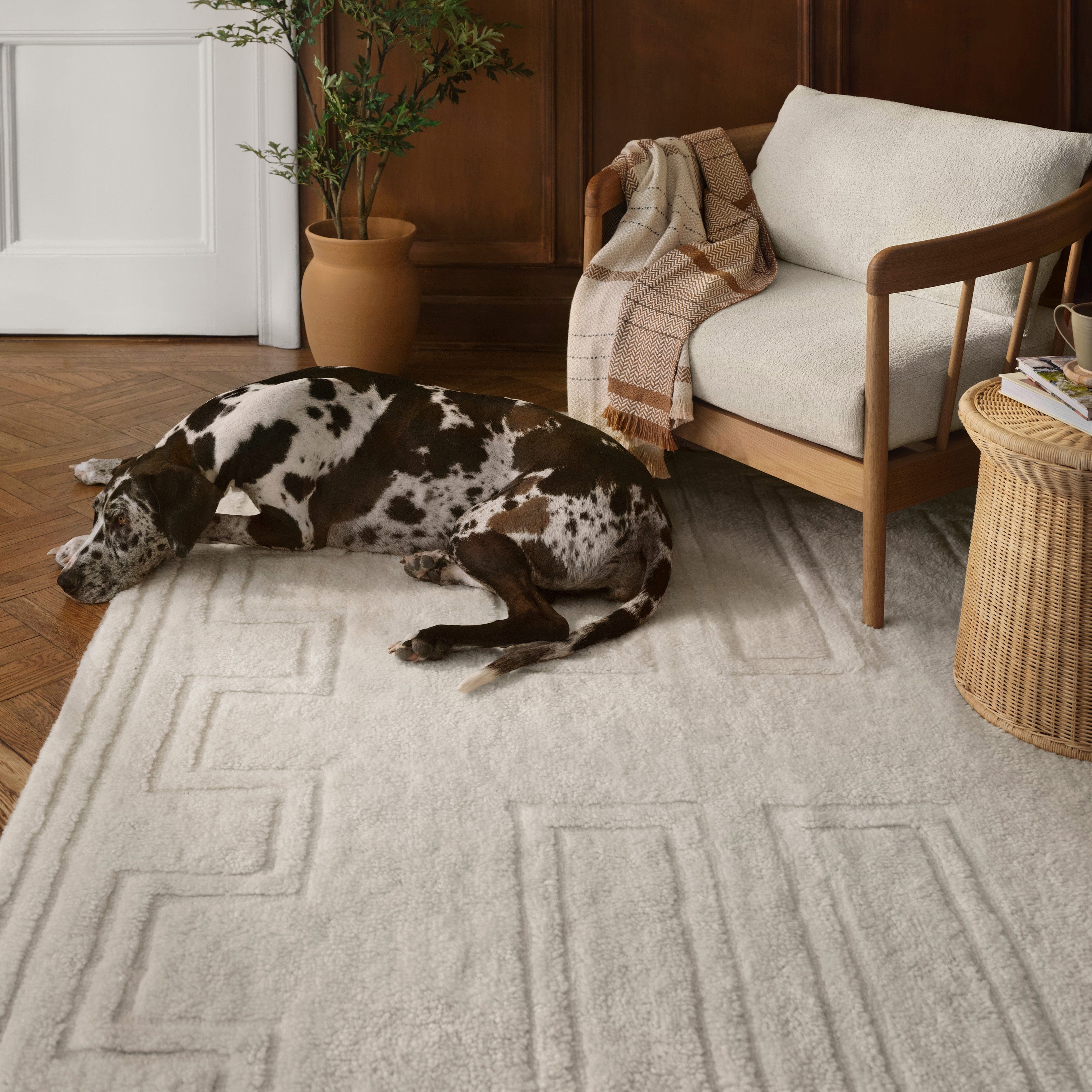The Citizenry Padma Washable Area Rug | 9' x 12' | Sand - Image 9