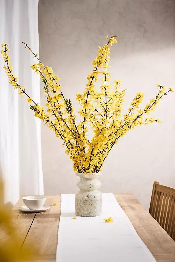 Forsythia Branches - Image 0