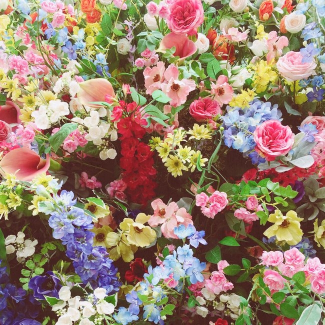 Floral Explosion Art Print by Cassia Beck - Large - Image 1