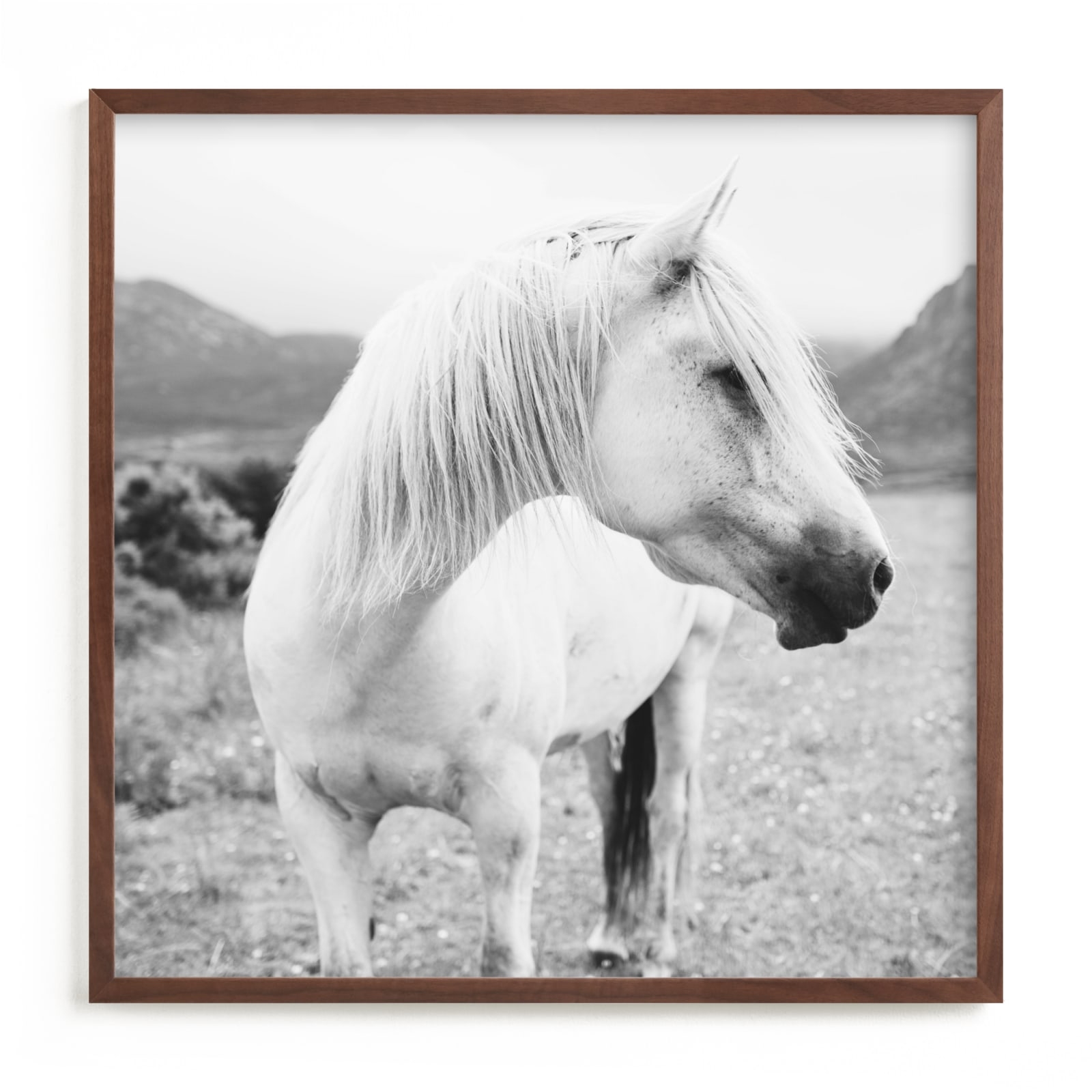 Field Horse Open Edition Fine Art Print - Image 0