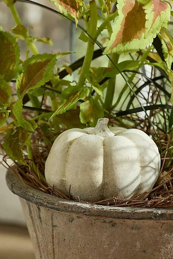 Cast Concrete Pumpkin - Image 0