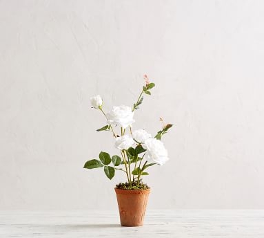 Faux Potted Roses, White - Small - Image 5