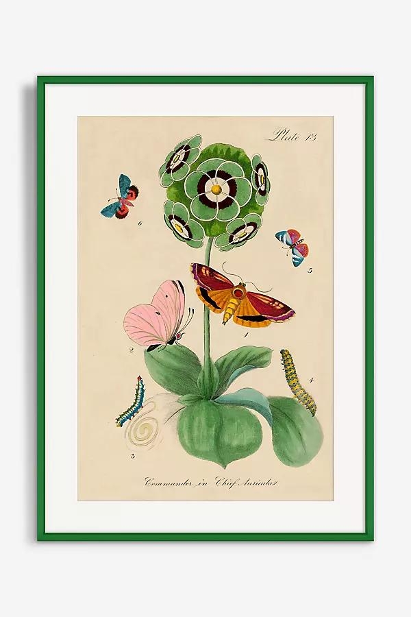 Flower Wall Art - Image 0