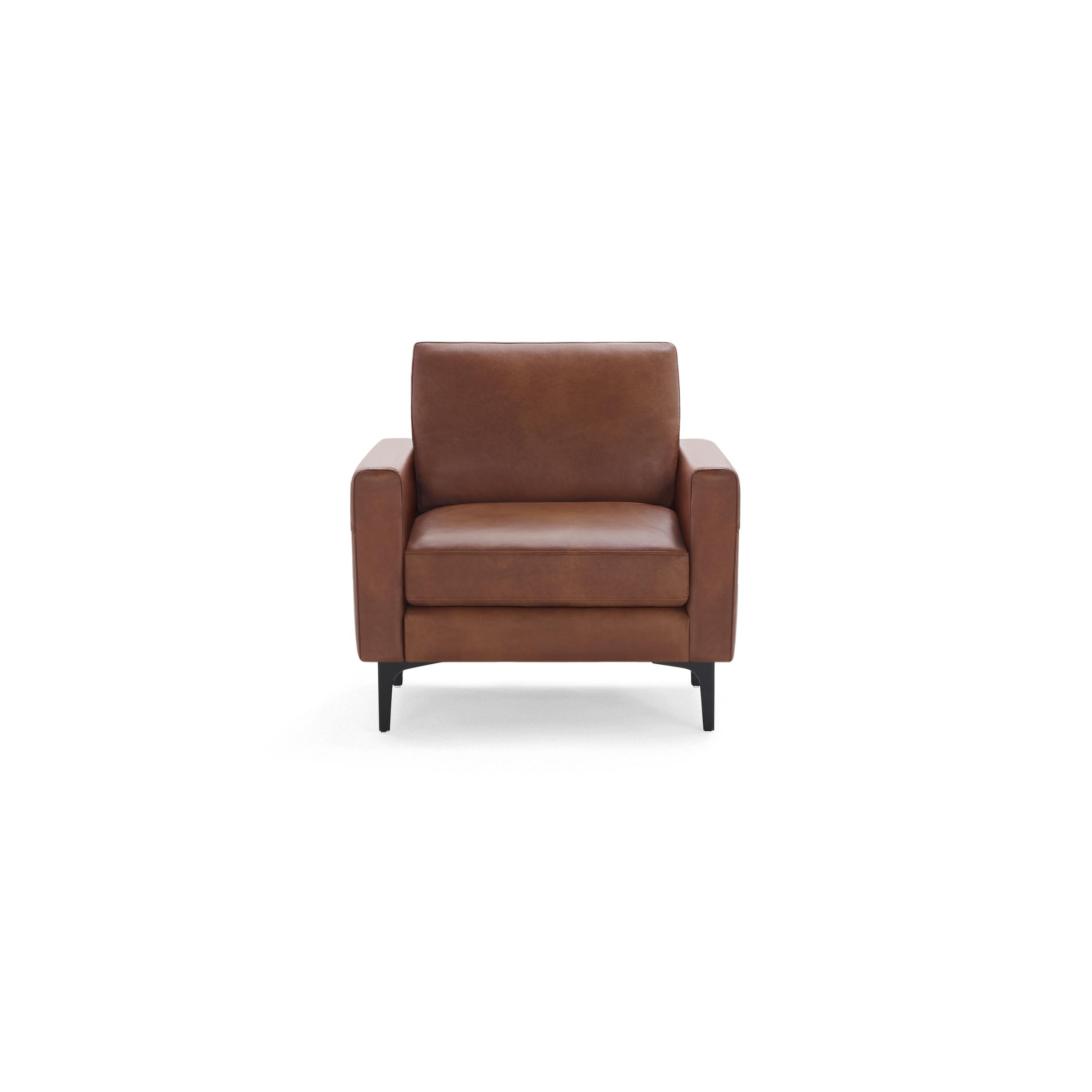 Nomad Leather Club Chair - Chestnut - Top Grain Leather / Black - Metal / Block - Image 0