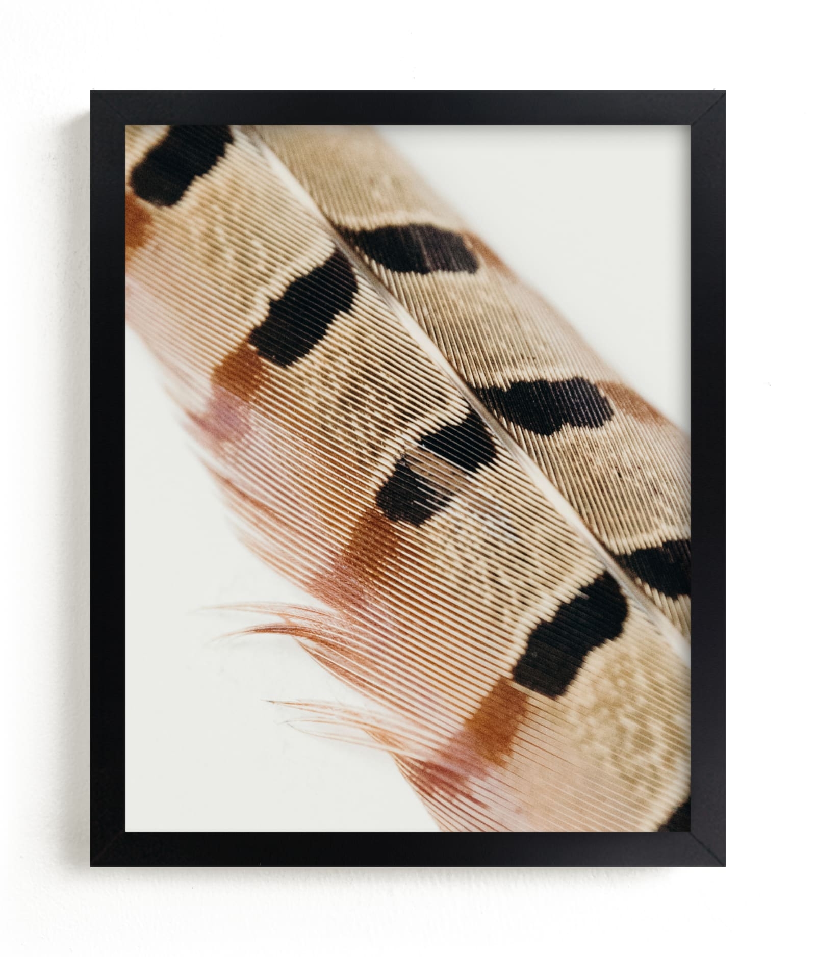 Feather Study I Limited Edition Fine Art Print 2 - Image 0