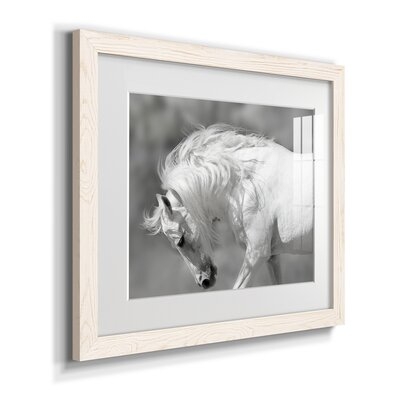 White Stallion - Picture Frame Print on Paper - Image 0