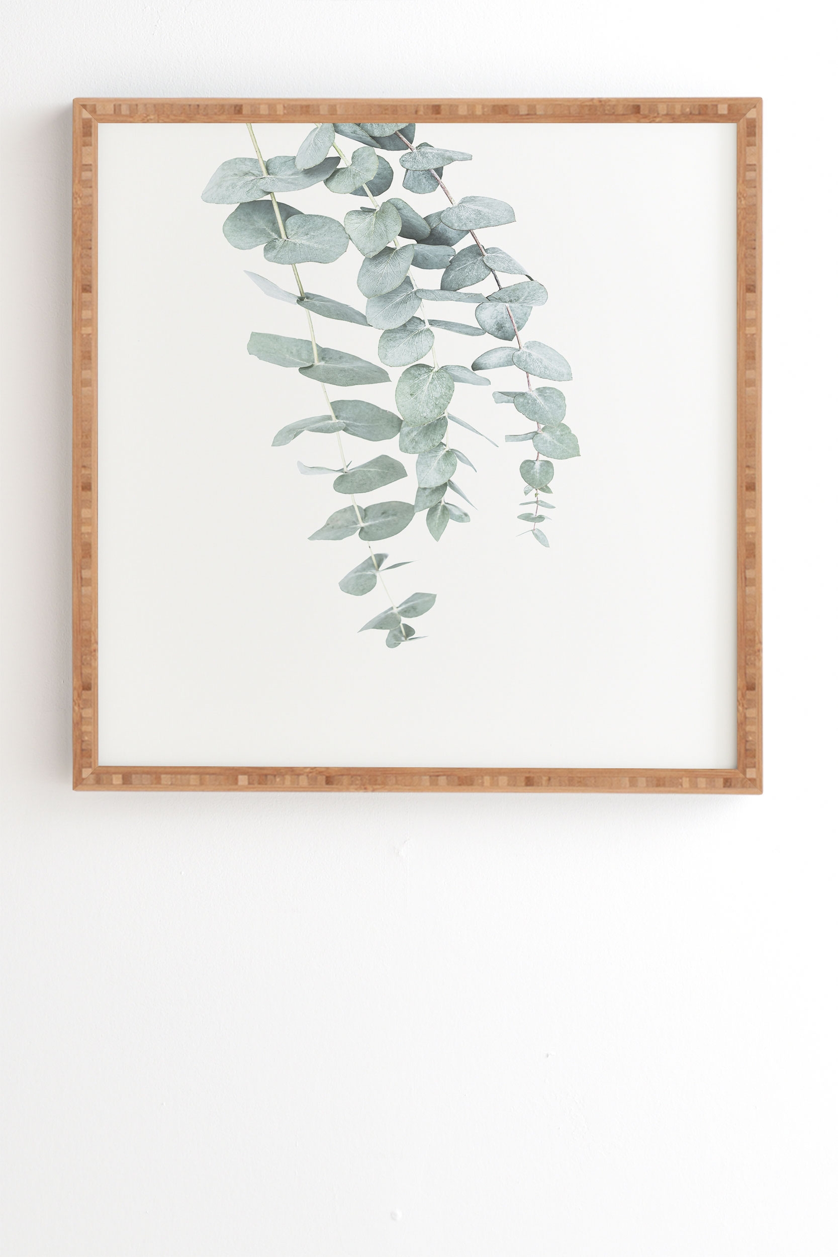Mint Eucalyptus Ii by Sisi and Seb - Framed Wall Art Bamboo 30" x 30" - Image 0