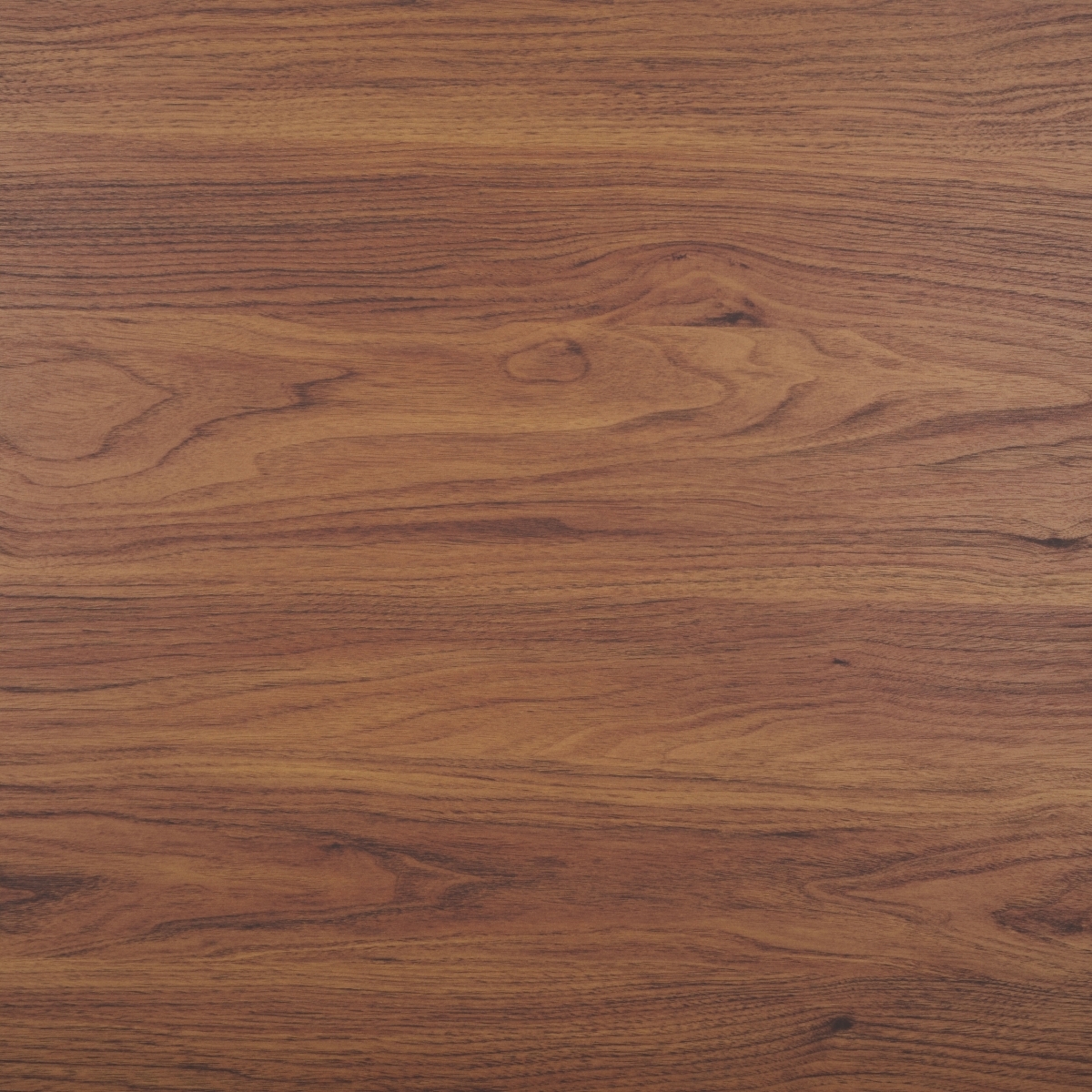 Lylia 2 Door Coffee Table - Walnut / Black - Safavieh - Image 4