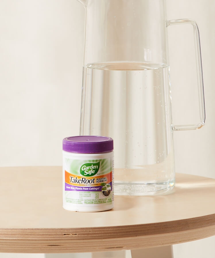 TakeRoot® Rooting Hormone - Image 0