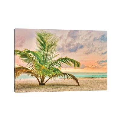 Sunset Palm by Mark Paulda - Wrapped Canvas Photograph Print - Image 0