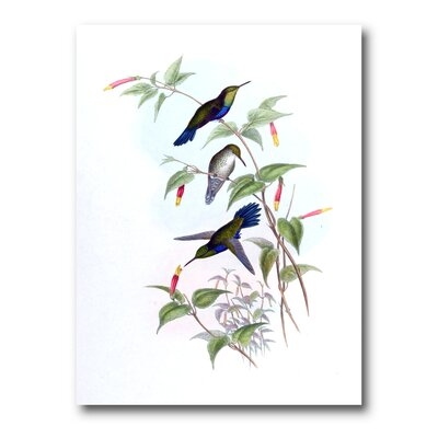 Vintage Hummingbird I - Traditional Canvas Wall Art Print - Image 0