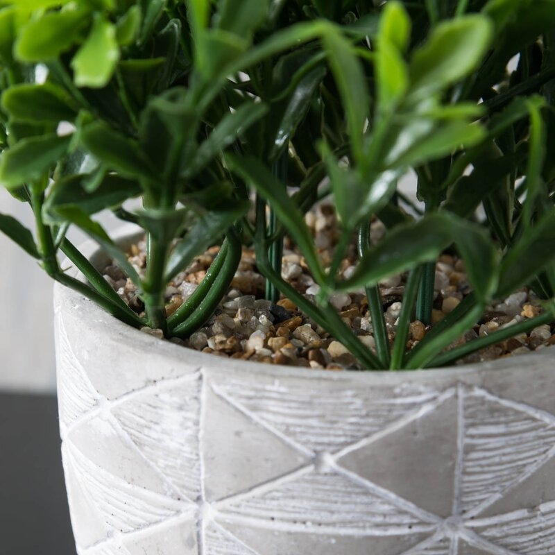 Faux Boxwood Plant in Pot, 5" - Image 3