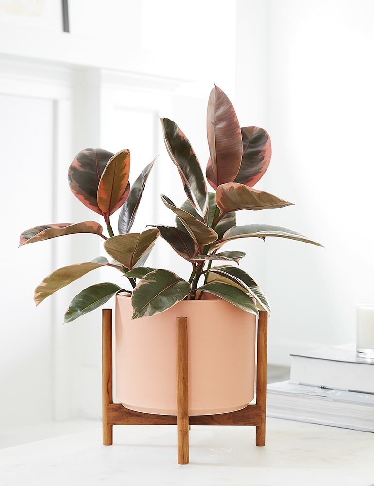 LBE Design Ceramic Planter, Peach 10"Dia x 9"H - with stand - Image 0