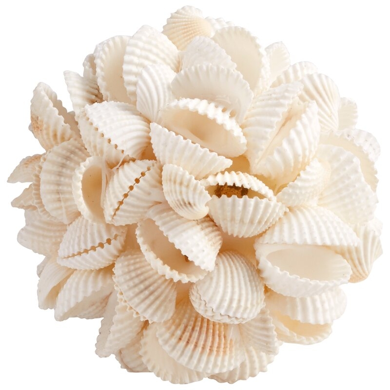Cyan Design Coastal Shell Prize Decorative Ball Sculpture - Image 0