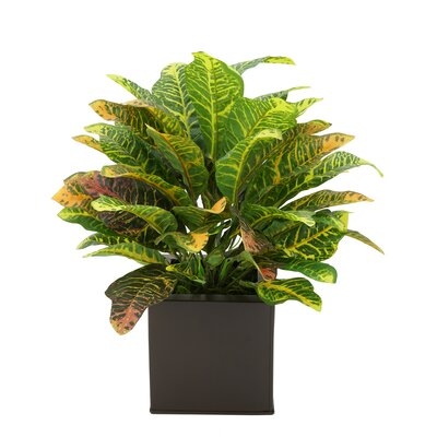 12'' Artificial Foliage Plant in Pot - Image 0