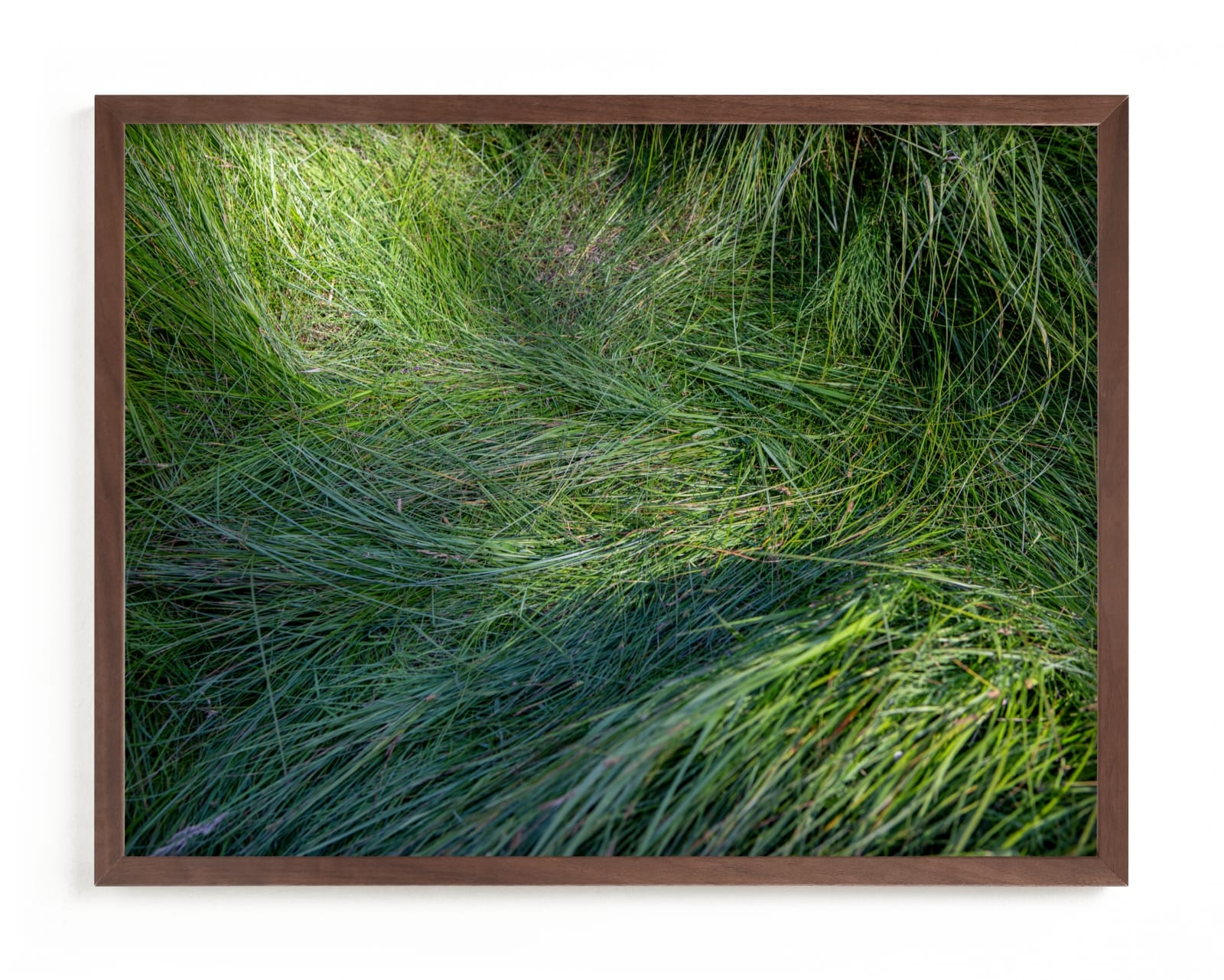 A Deer Slept Here. Limited Edition Fine Art Print 2 - Image 0