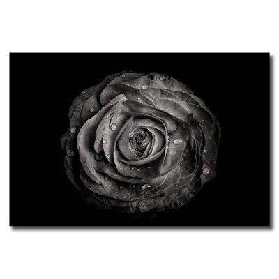 'Backyard Flowers In Black And White 72' - Photographic Print On Wrapped Canvas - Image 0