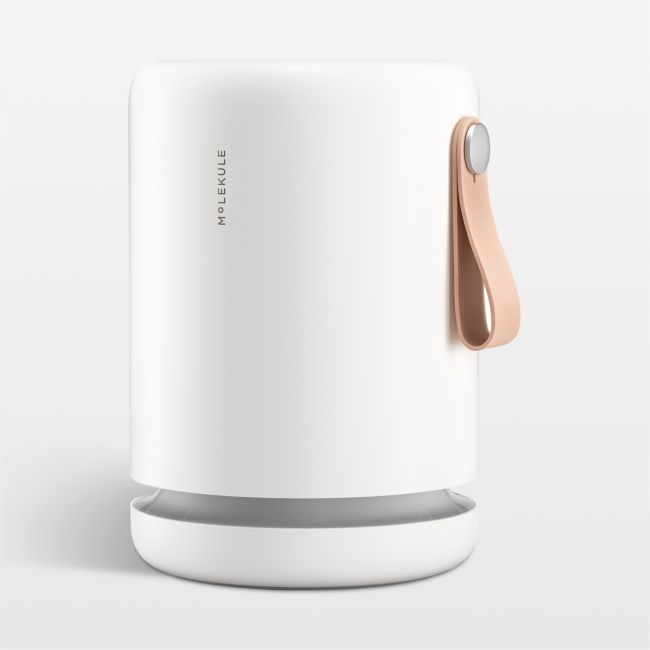 Molekule Air Mini+ Air Purifier with PECO-HEPA Tri-Power filter - Image 0
