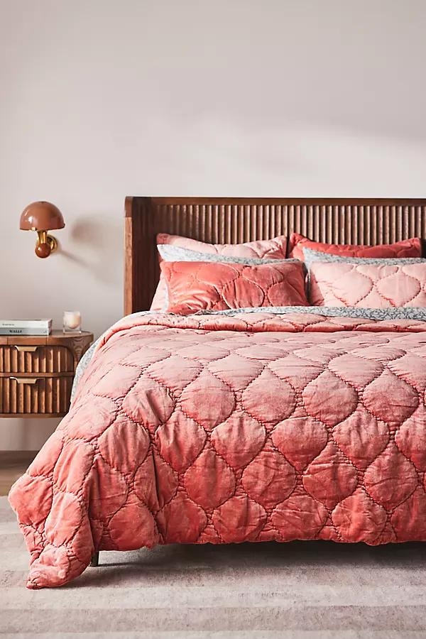 Claire Cotton Velvet Satin Quilt - Image 0