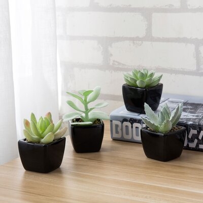 4 - Piece Artificial Succulent Plant in Pot Set - Image 0