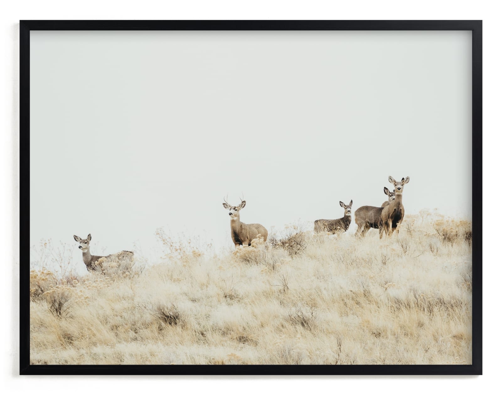 Watchful Limited Edition Fine Art Print 2 - Image 0