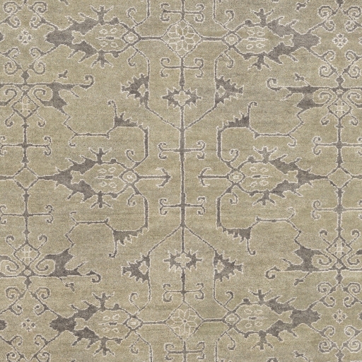 Opulent Beige Indoor 2' x 3' Handmade Rug - Image 0