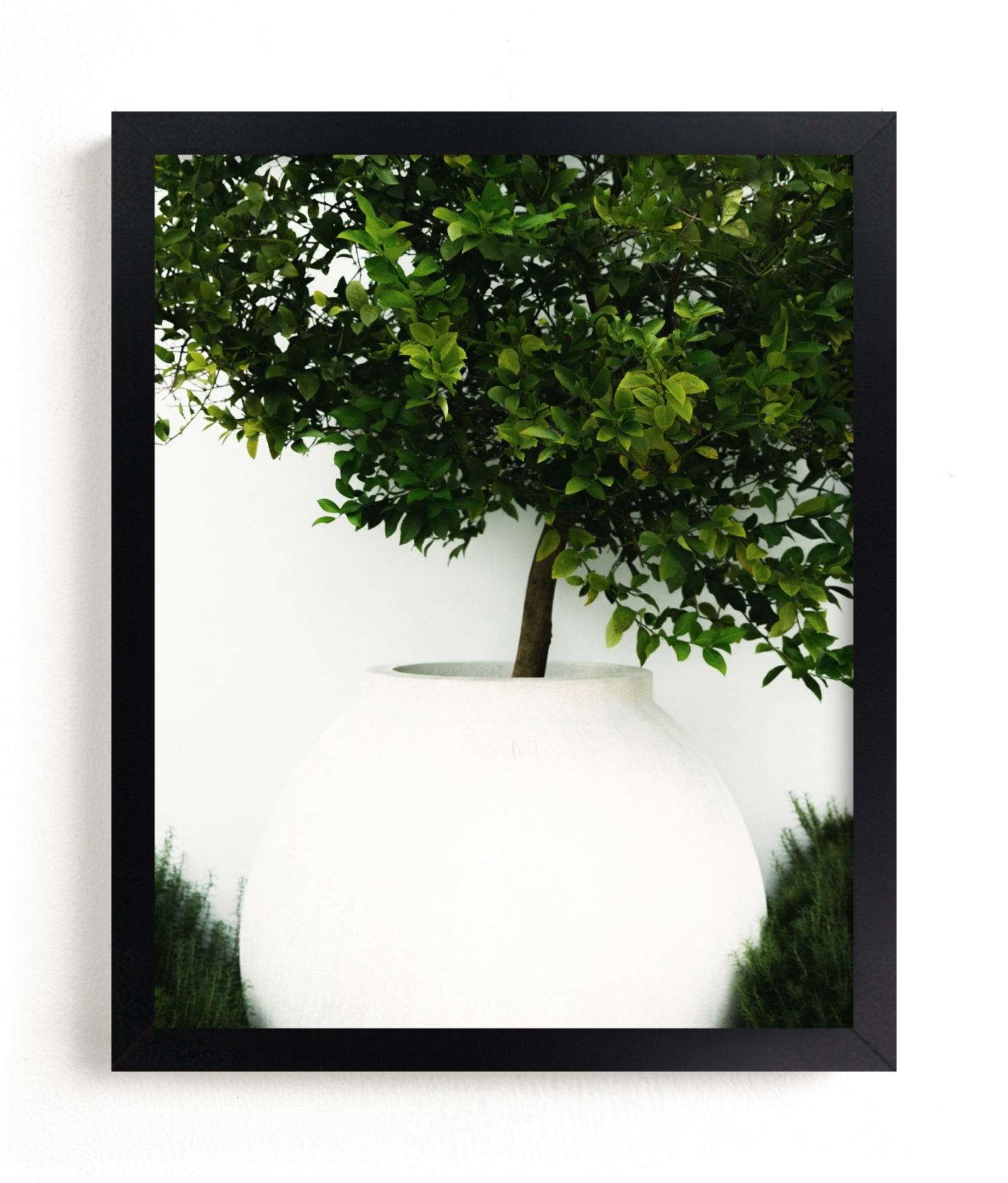 Verdant Garden II Limited Edition Fine Art Print 2 - Image 0