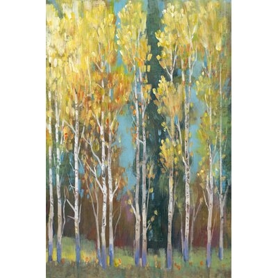 Aspen Grove I by Timothy O' Toole Painting Print on Canvas - Image 0