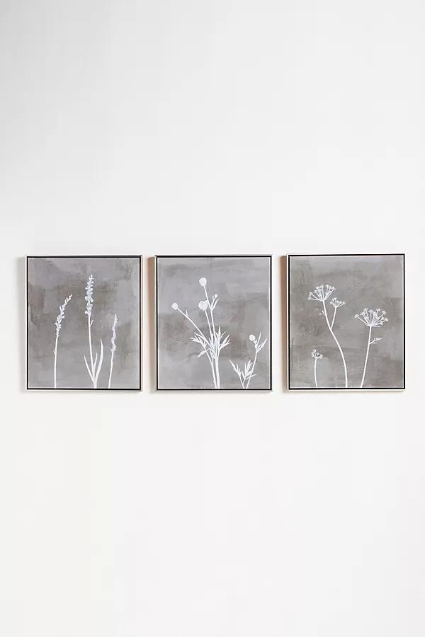 Lurid Wall Art - Image 0