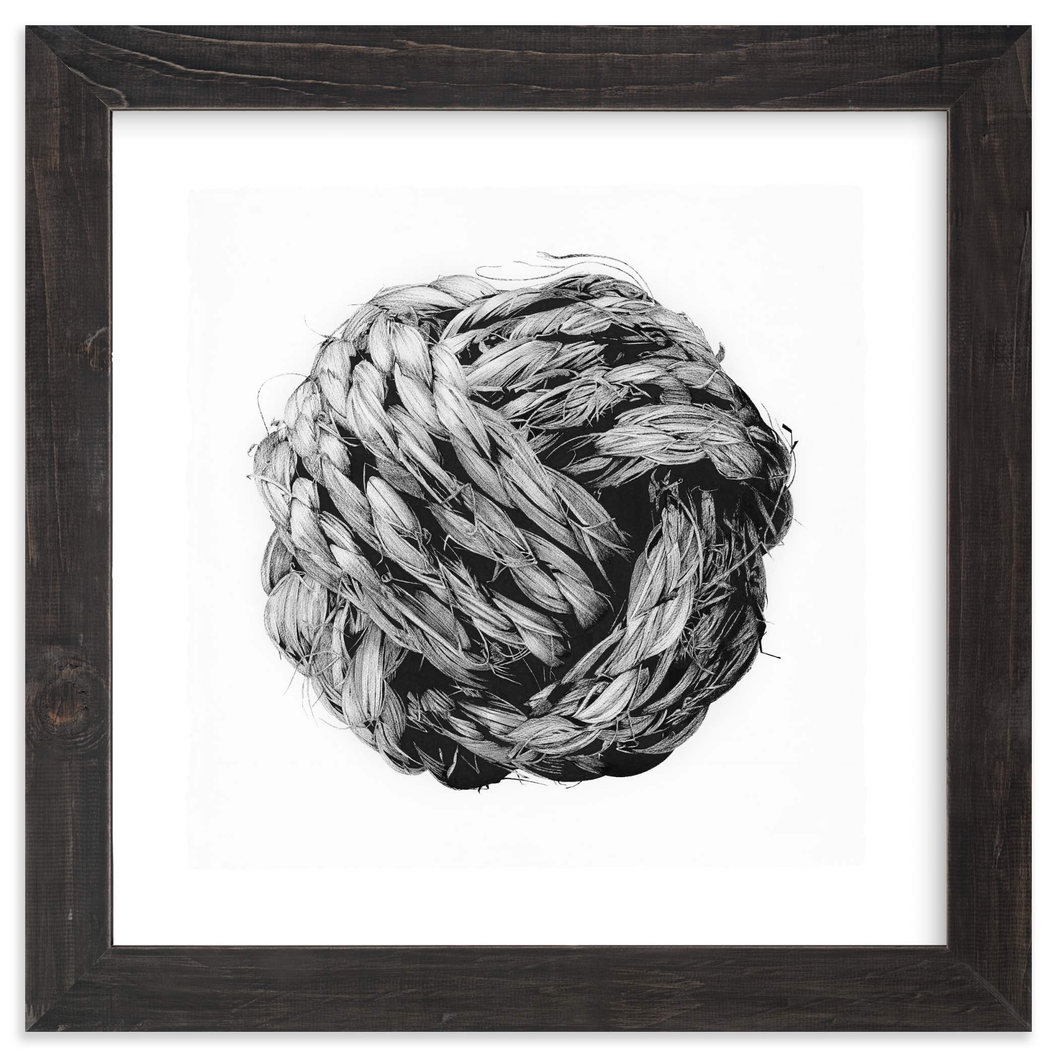 Monkey Fist Limited Edition Fine Art Print 2 - Image 0