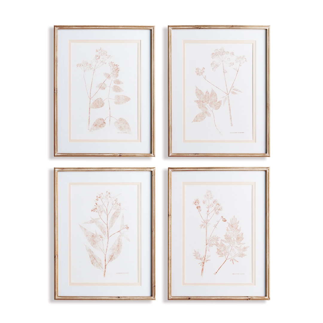 Napa Home and Garden Blush Botanical Study - 4 Piece Picture Frame Print Set on Wood - Image 0