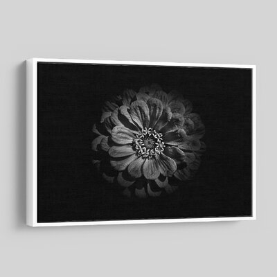 'Backyard Flowers In Black And White 58' - Photographic Print On Wrapped Canvas - Image 0