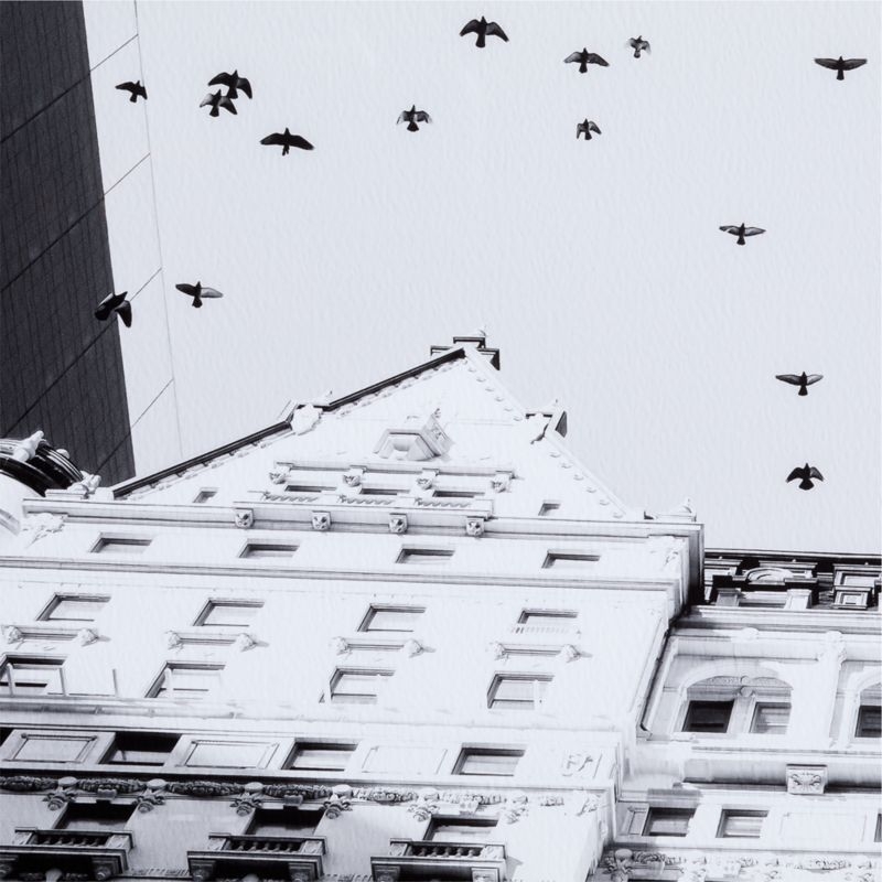 "Flight Over the Plaza" by Carly Tabak 54"x36" Framed Photography Print - Image 3