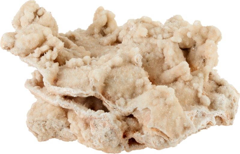 Mountain Coral Object Ivory - Image 3