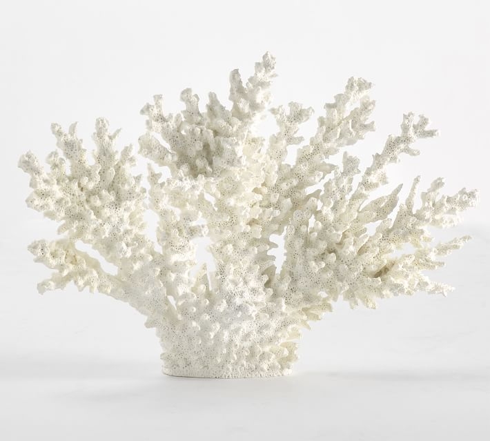 White Spike Coral - Image 0