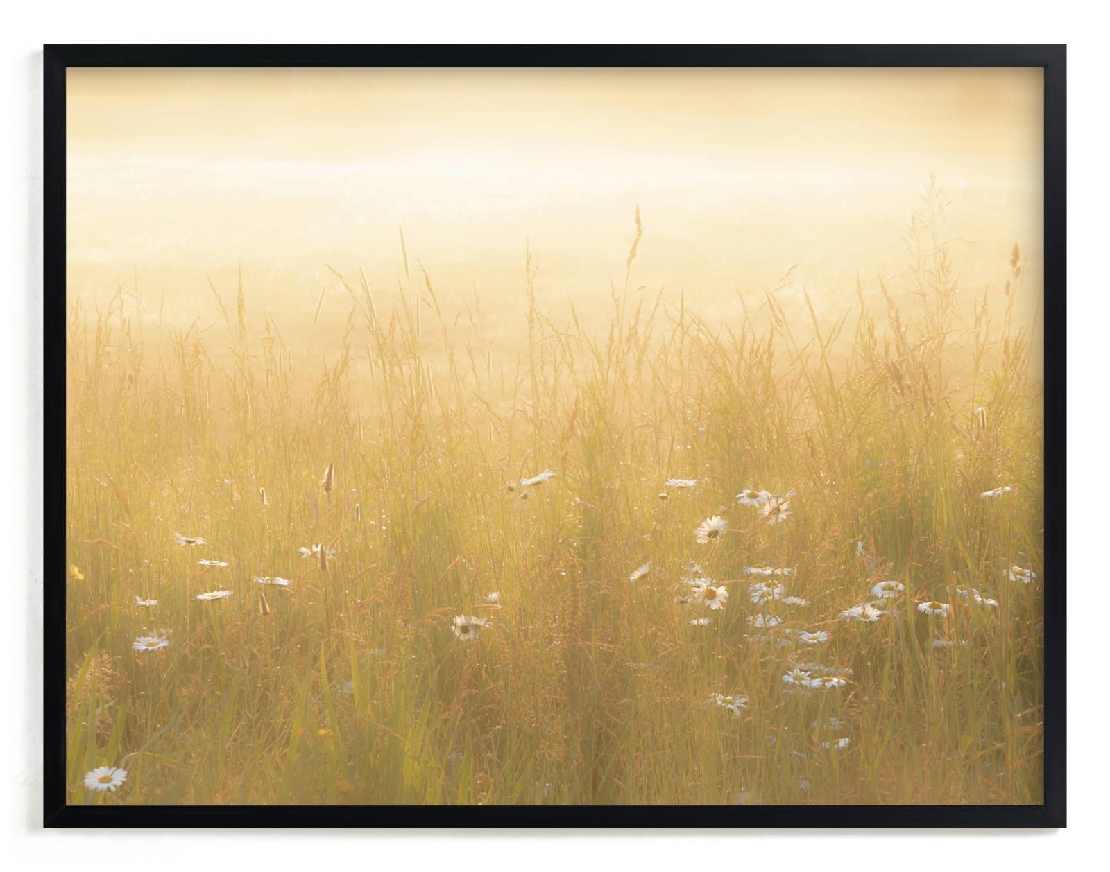 Golden Meadow Limited Edition Fine Art Print 2 - Image 0