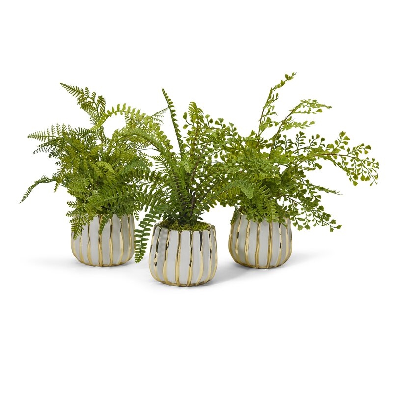 T&C Floral Company 3 - Piece Artificial Fern Plant in Vase Set - Image 0