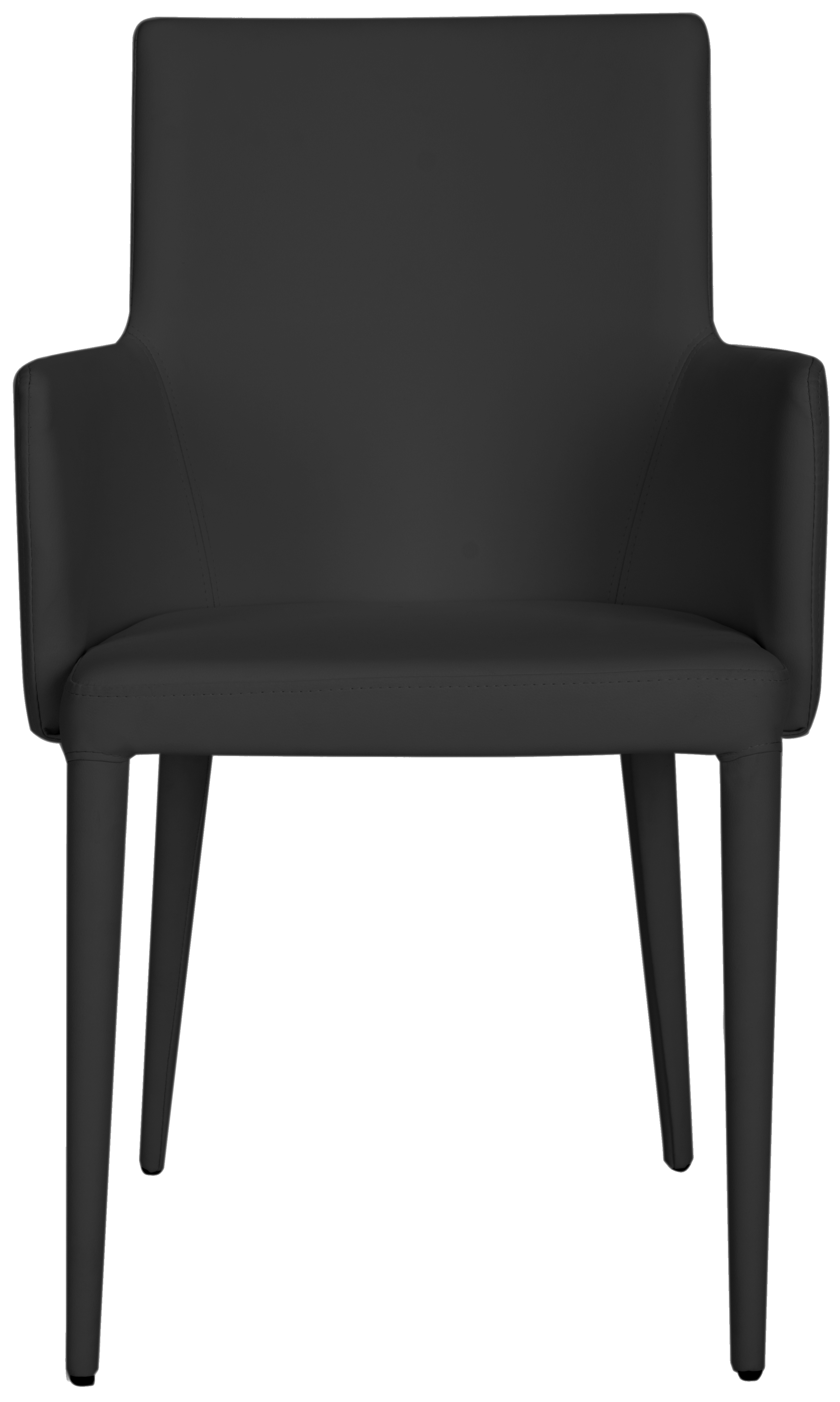 Summerset Arm Chair - Black - Safavieh - Image 0