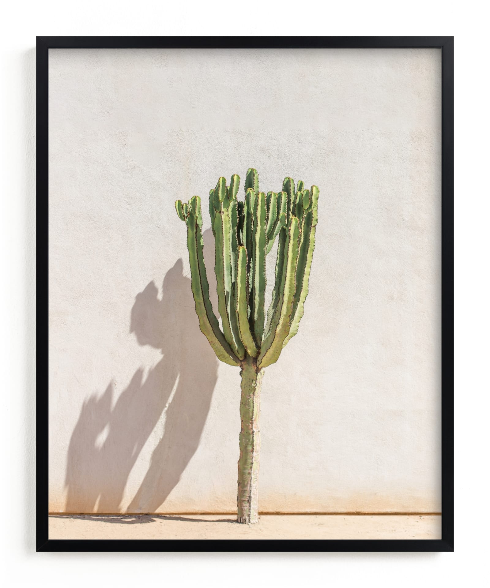 Lone Cactus Limited Edition Fine Art Print 2 - Image 0
