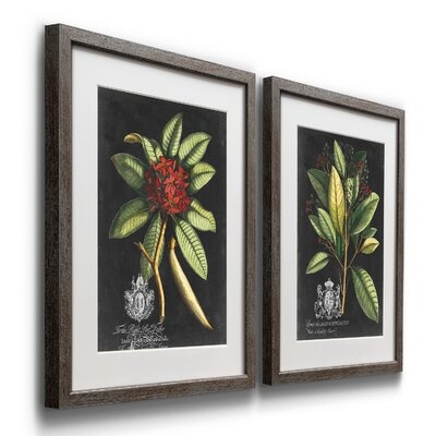 Royal Foliage III - 2 Piece Picture Frame Print Set on Paper - Image 0