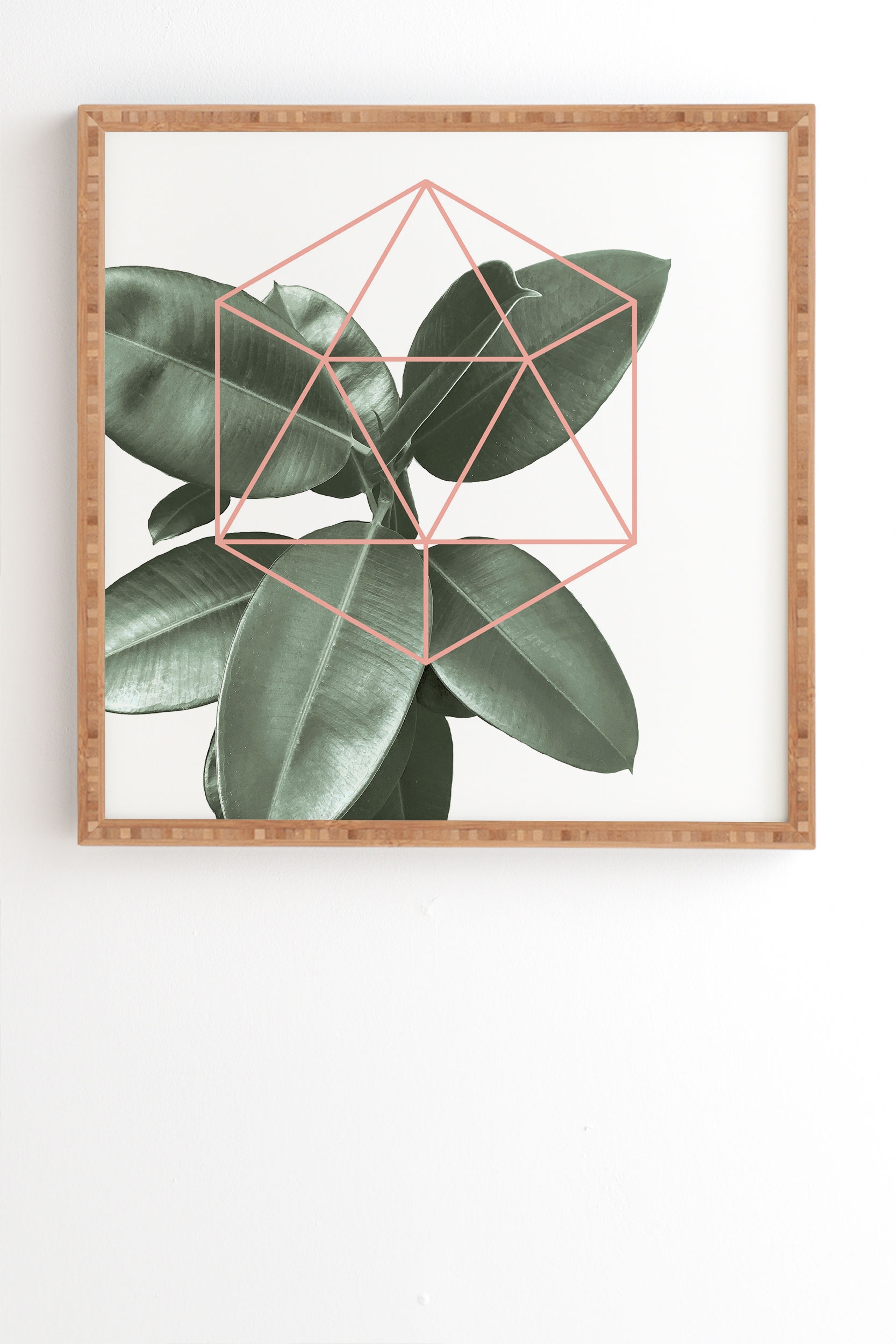 Geometric Greenery by Gale Switzer - Framed Wall Art Bamboo 30" x 30" - Image 1