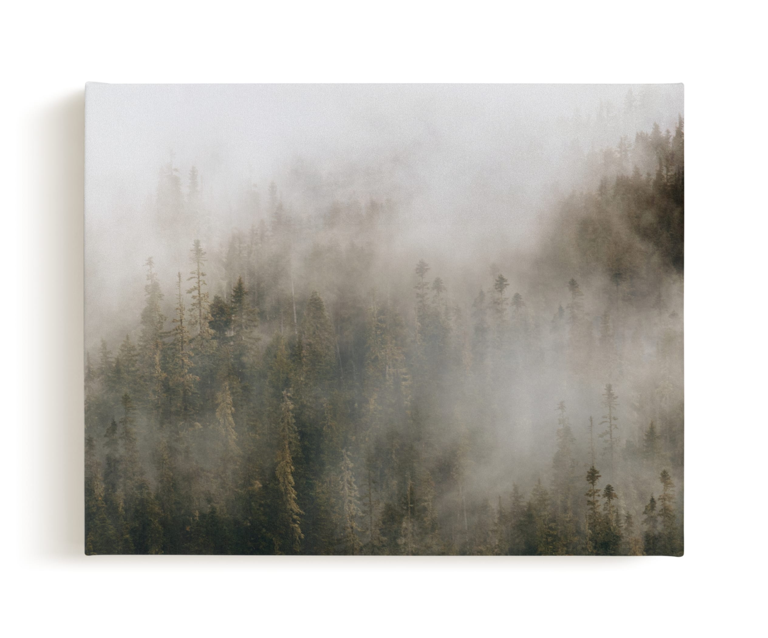 Pacific North Fog Limited Edition Fine Art Print 1 - Image 0