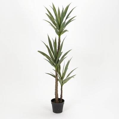 61" Dracaena Tree - Image 0