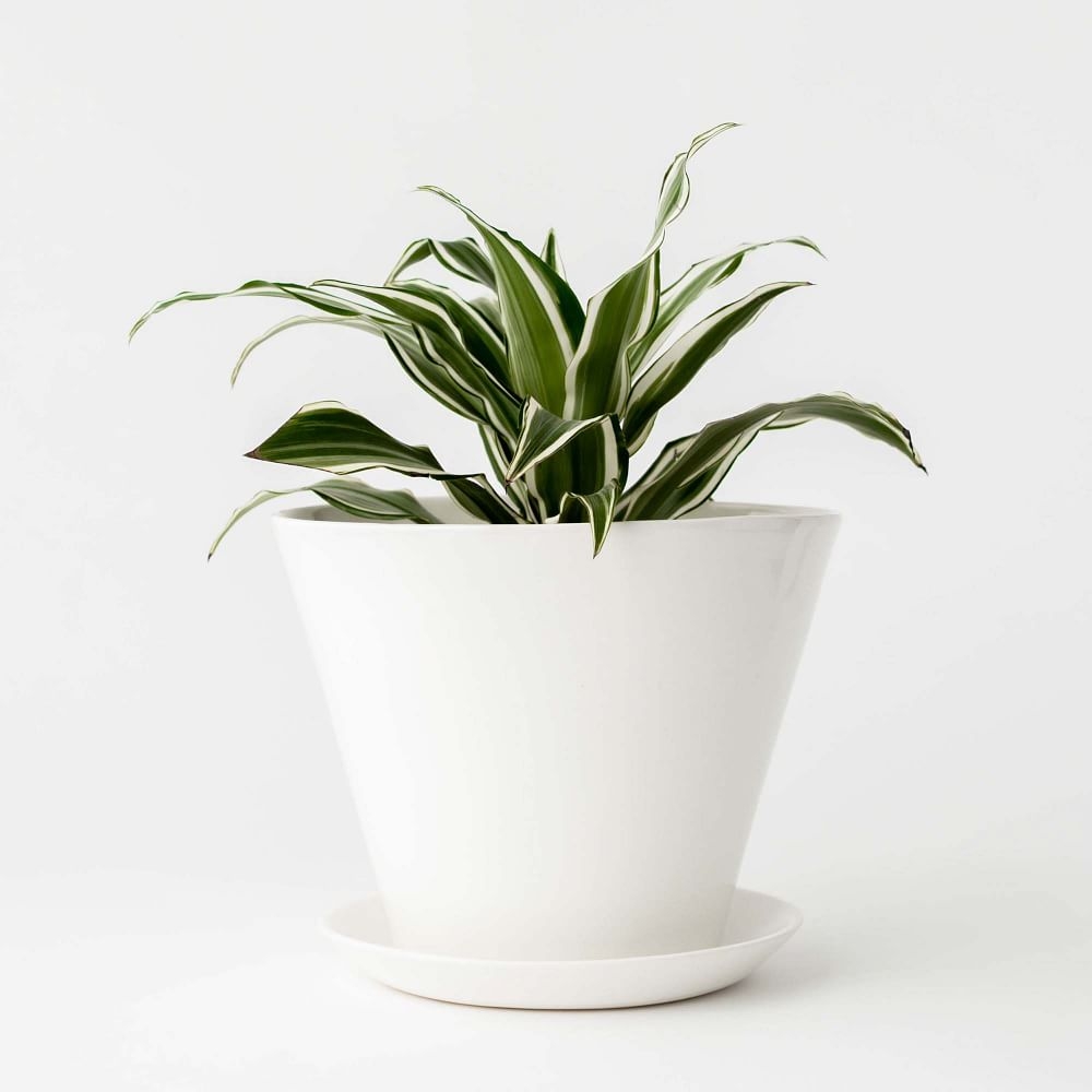 Minimal Planter Glaze IVory White 8 Inch - Image 0