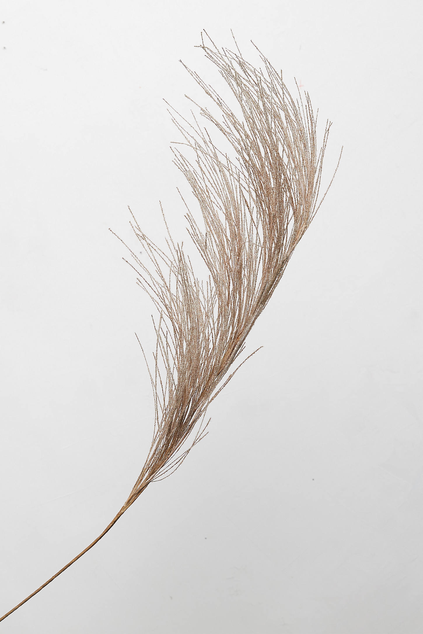 Faux Grass Plume - Image 0