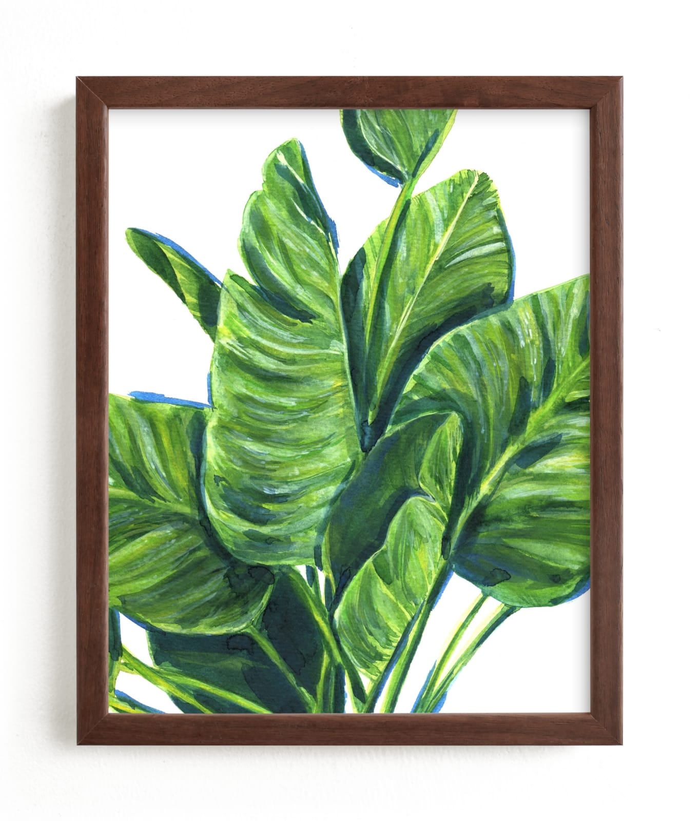 Tropical Plants II Limited Edition Fine Art Print 2 - Image 0